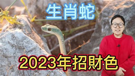 屬蛇適合的顏色|【屬蛇適合什麼顏色】屬蛇適合什麼顏色？三種熱門幸。